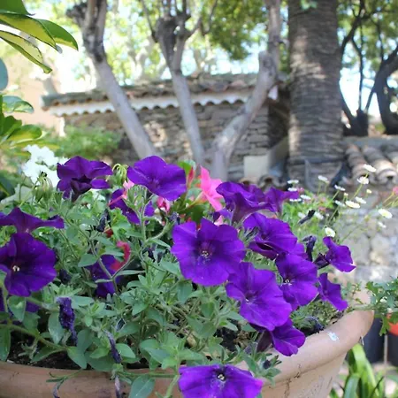 ليه بالميرز فندق 3*