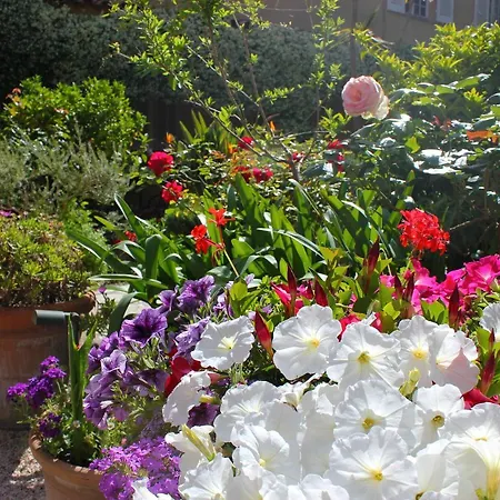 ليه بالميرز فندق سان تروبيه