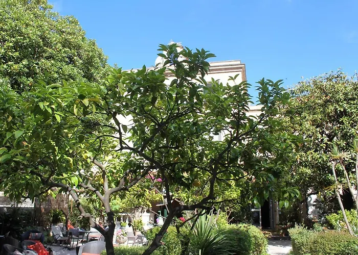 Les Palmiers Hotel Saint-Tropez