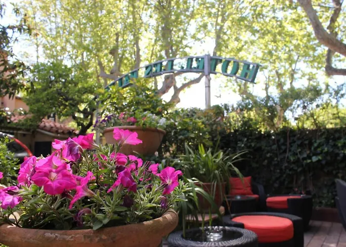 Hotel Les Palmiers 3*