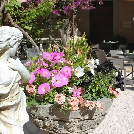 Готель Les Palmiers