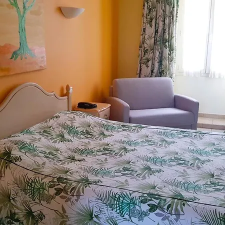 Les Palmiers 3* 쎙뜨호뻬