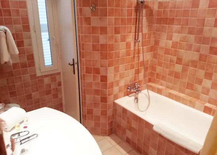 Les Palmiers מלון 3*