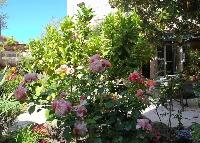 Готель Les Palmiers Сен-Тропе